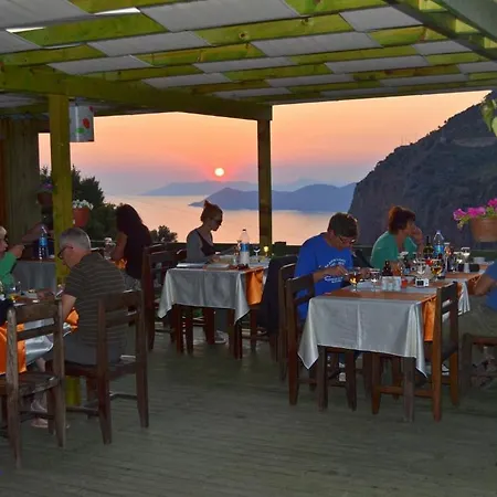 Montenegro Hotel *