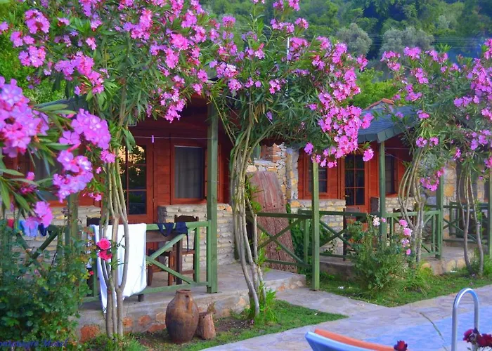 Montenegro * פאראליה