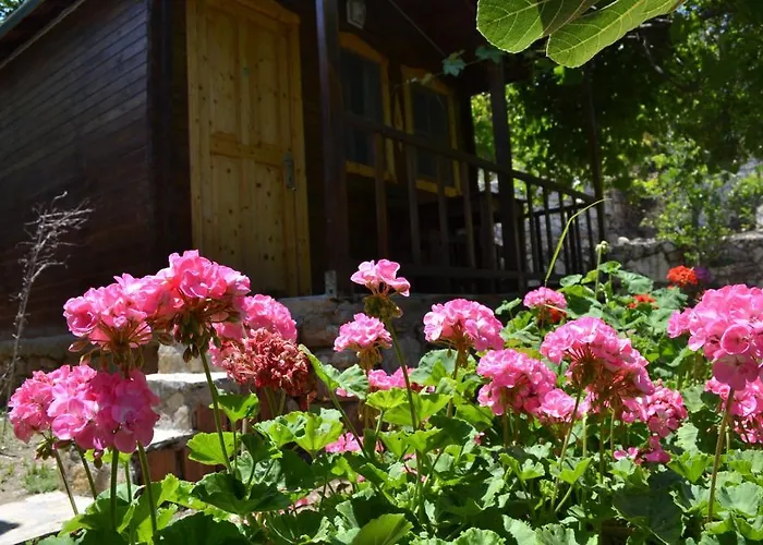 Montenegro * פאראליה