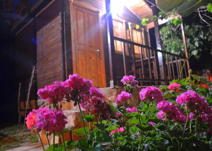 Montenegro * פאראליה