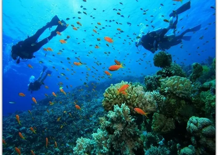 מלון Montenegro פאראליה