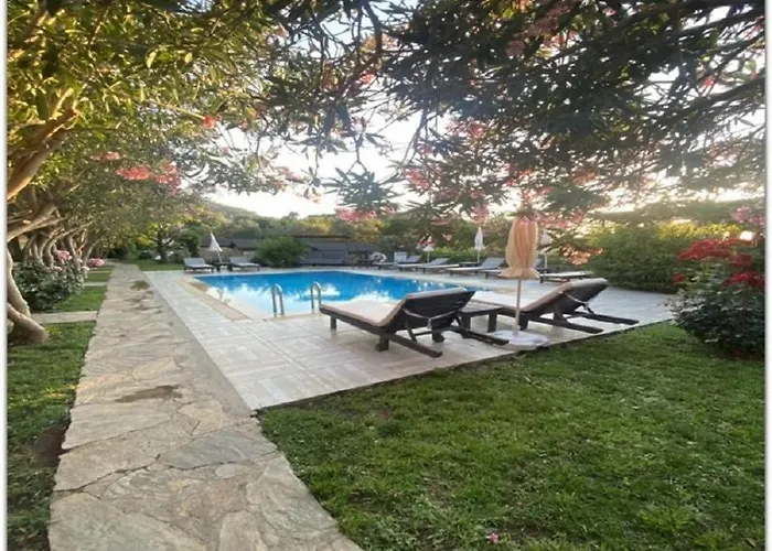 Montenegro פאראליה