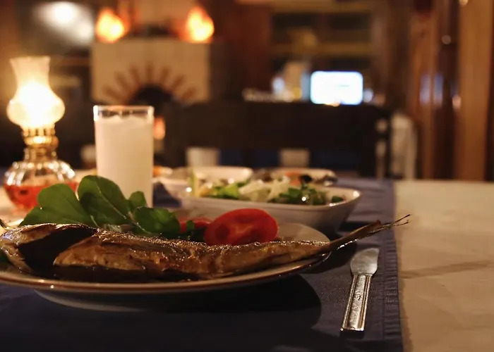 מלון Montenegro *