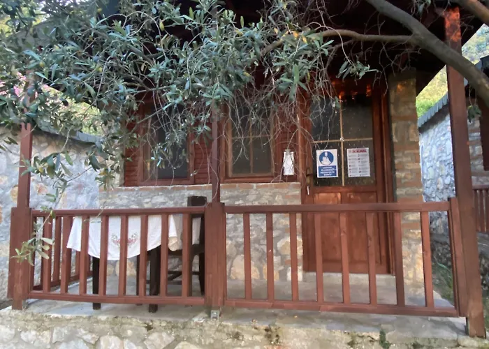 מלון Montenegro *