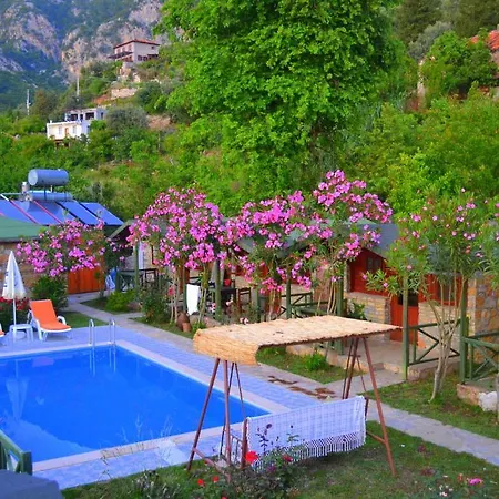 Montenegro * Faralya