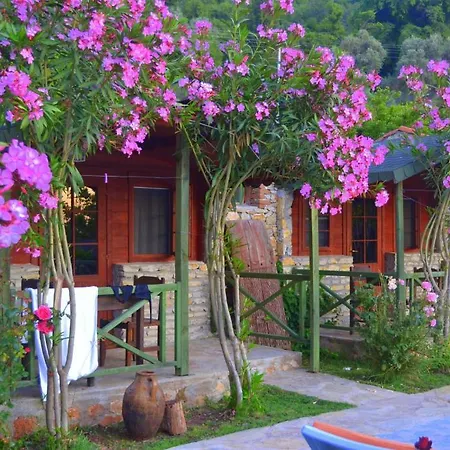 Montenegro * Faralya