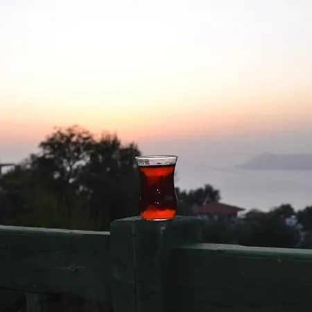 Montenegro * Faralya