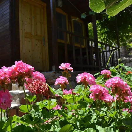 Montenegro * Faralya