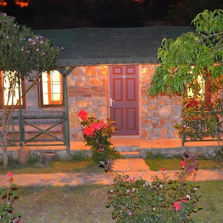 Montenegro * Faralya