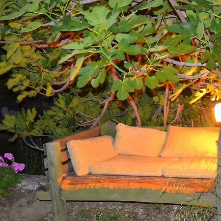 Montenegro * Faralya