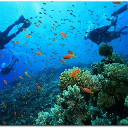 Hotel Montenegro Faralya