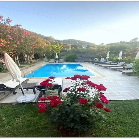 Montenegro * Faralya