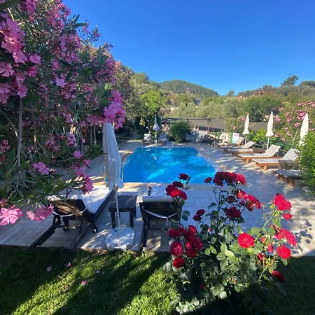Montenegro Hotel