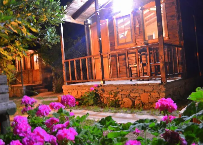 黑山汽车旅馆 *